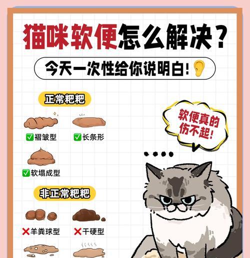 猫咪只吃猫粮导致大便恶臭的解决办法？