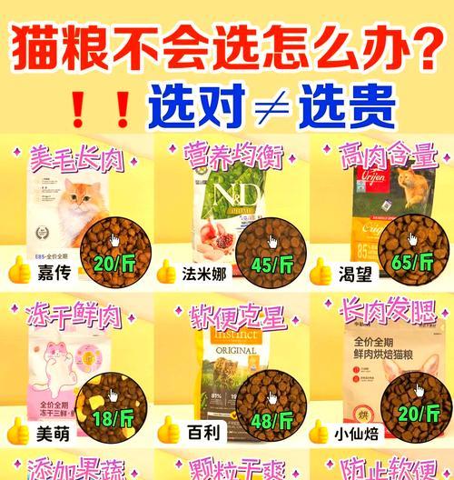 猫粮达人优惠活动详情？