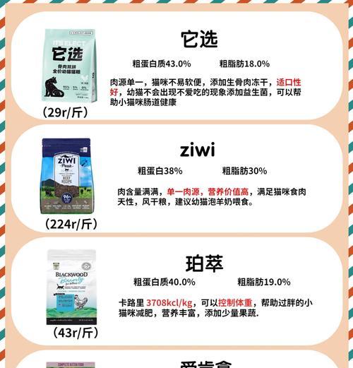 张典去猫粮工场工作的动机是什么？