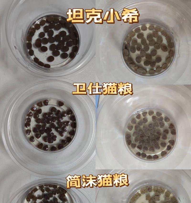 猫粮需要泡水吗？不泡水会对猫咪有什么影响？