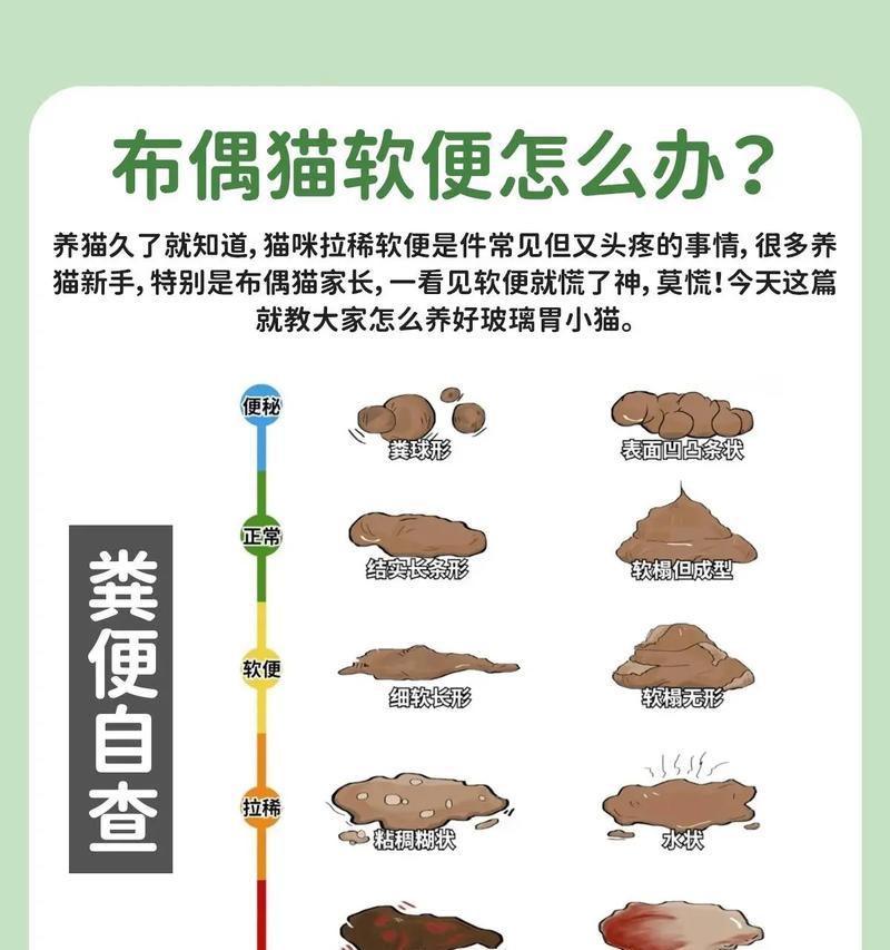 布偶猫泌尿处方粮的正确喂法？