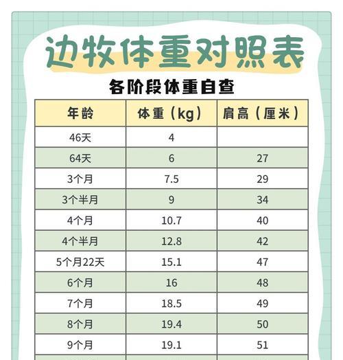 白犬德牧成年体重标准是多少？如何测量？