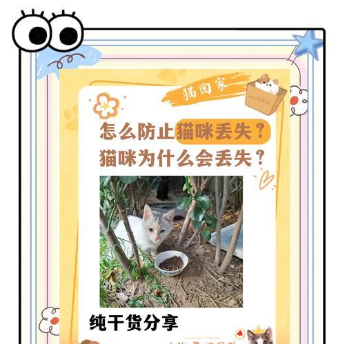 如何打包猫粮防止散开？