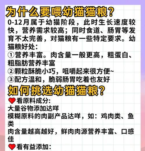 10天大的幼猫应如何选择猫粮？