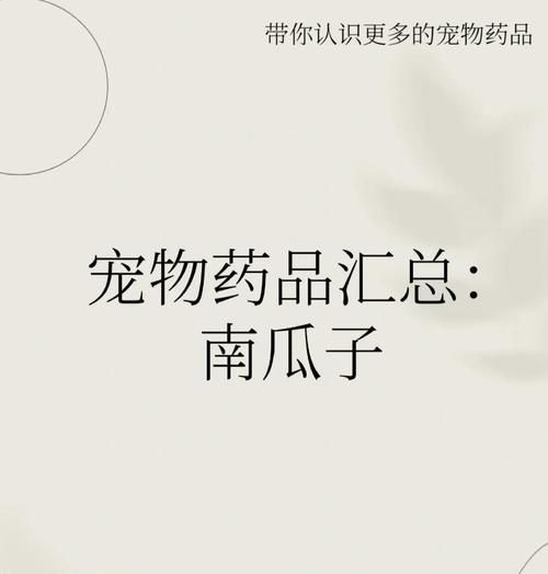 羊驼专用磨牙棒的正确使用方法是什么？