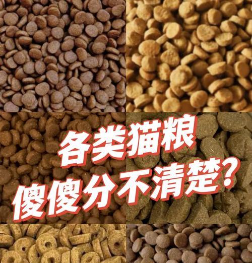 哪种猫粮有助于猫咪增重？如何选择合适的猫粮？