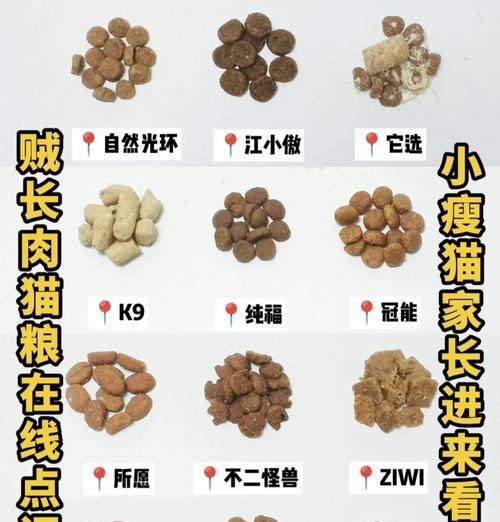 猫舍混粮用什么好消化的食物？