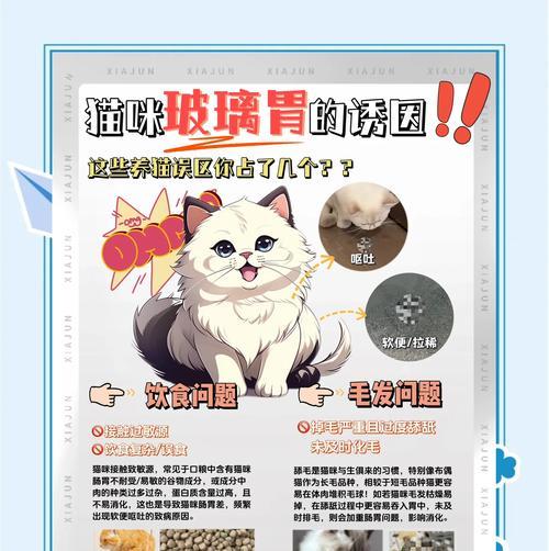 蓝猫拉肚子时如何喂猫粮？哪种猫粮更适合肠胃敏感的蓝猫？
