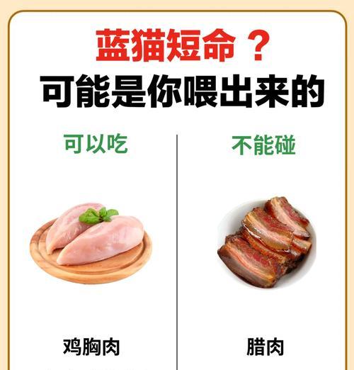 蓝猫拉肚子时如何喂猫粮？哪种猫粮更适合肠胃敏感的蓝猫？