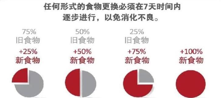 猫咪饿了咬猫粮怎么办？如何正确喂食？
