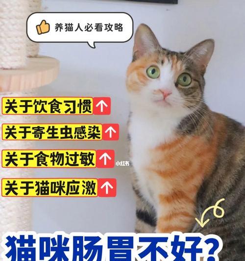 猫咪不吃剩余猫粮会有什么后果？原因是什么？