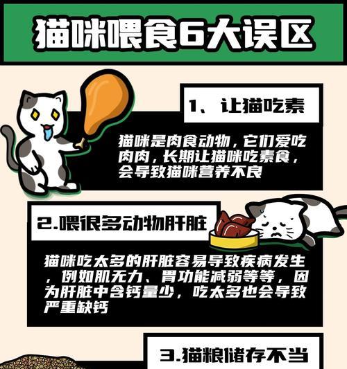 如何防止猫粮被偷？猫屋投喂猫粮被偷的解决办法？