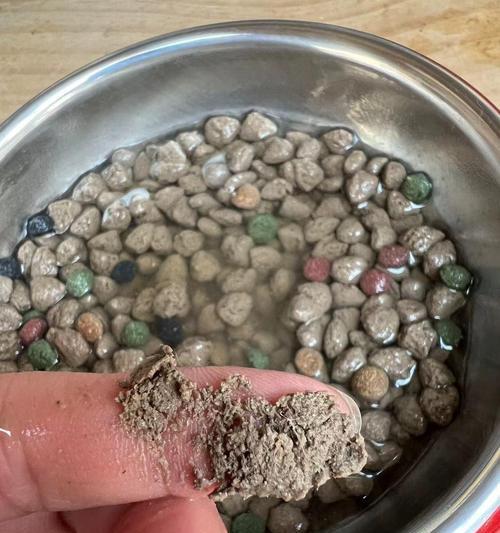 杂鱼制作猫粮的正确方法是什么？