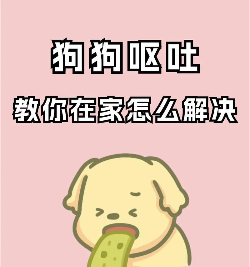 狗狗吃了鲜粮呕吐怎么办？
