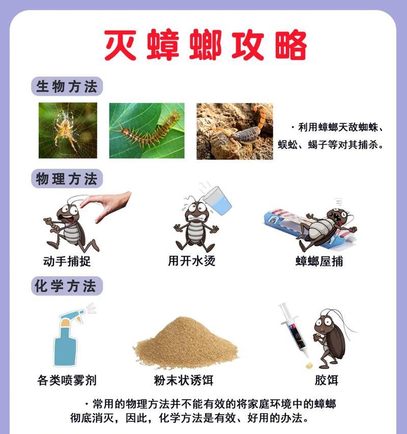猫粮中发现小蟑螂该如何处理？如何预防猫粮被蟑螂污染？