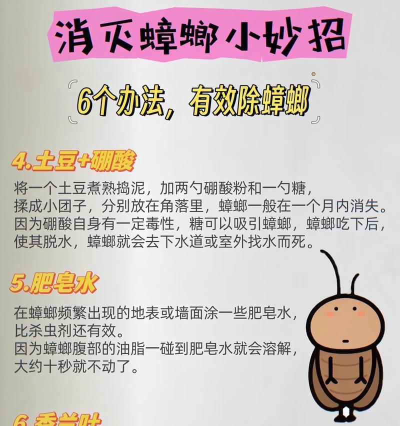 猫粮中发现小蟑螂该如何处理？如何预防猫粮被蟑螂污染？