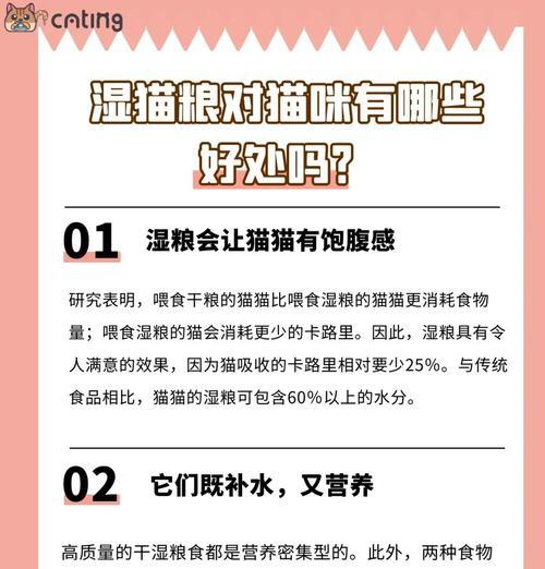 猫湿粮为何更易消化？这对猫咪有何好处？