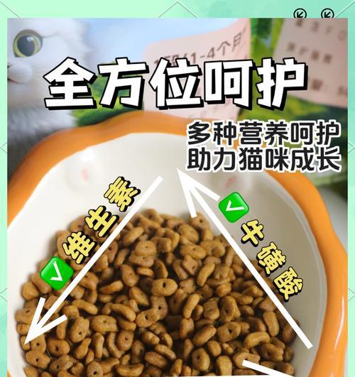 用猫粮诱拐小猫崽会有什么后果？这样做合法吗？