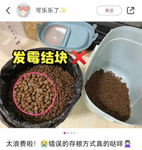 猫粮吸引蟑螂怎么办？如何防止蟑螂接近猫粮？