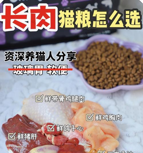 猫粮都可以加什么调料一起吃？有哪些安全的调味选择？