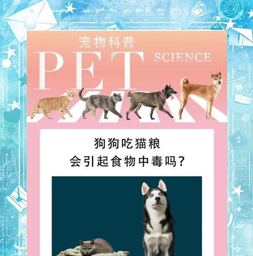 狗儿误食猫粮怎么办？