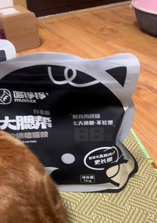 猫粮为何会出现黑色？黑色猫粮是否安全？