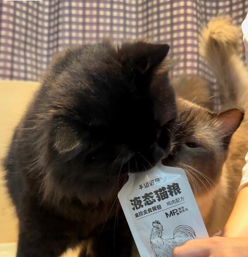 猫粮为何会出现黑色？黑色猫粮是否安全？