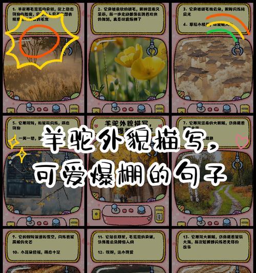 悲伤羊驼的故事讲述了什么？