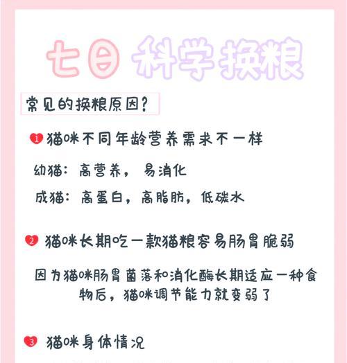 怎么给猫换粮最科学？换粮过程中应注意哪些事项？
