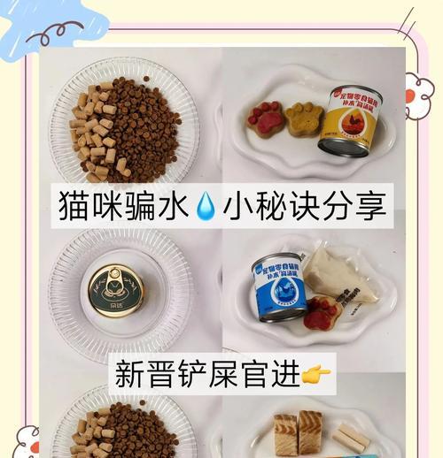 如何防止猫咪在配粮时骗水？有哪些有效方法？