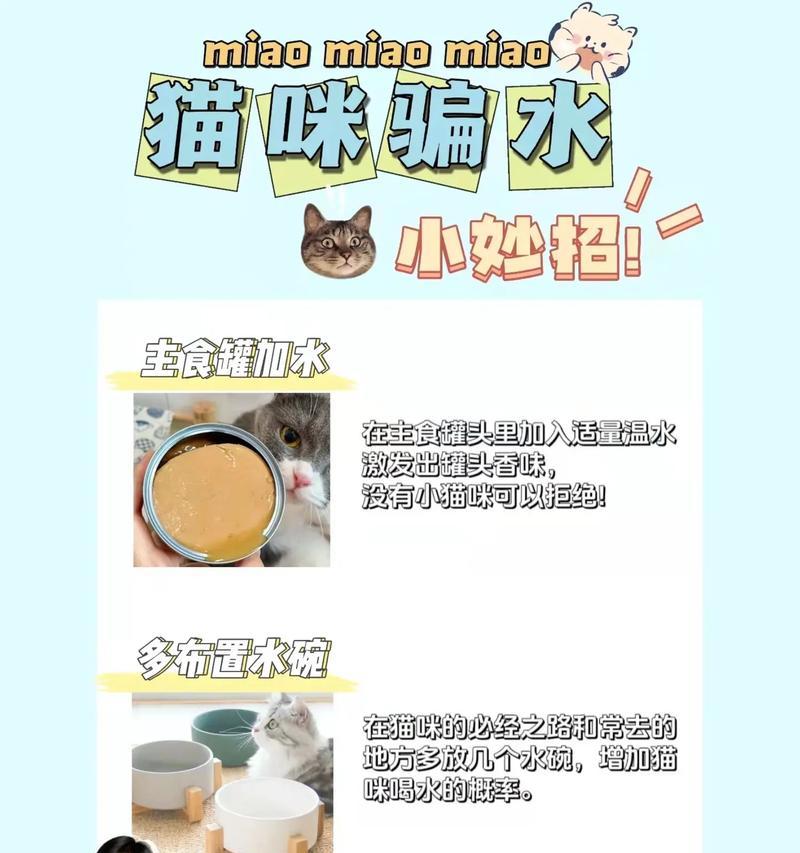 如何防止猫咪在配粮时骗水？有哪些有效方法？