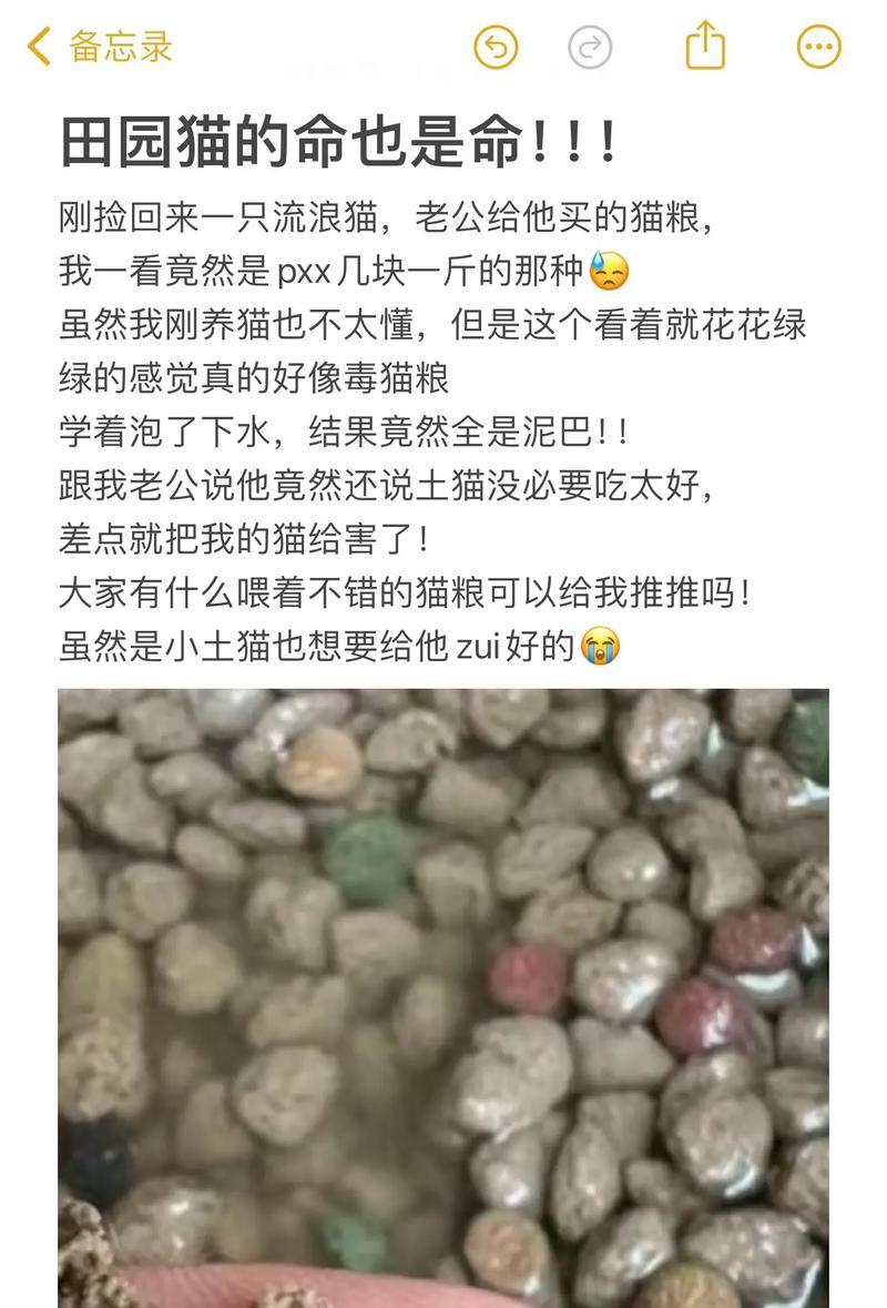 猫咪不吃变质猫粮会有什么后果？