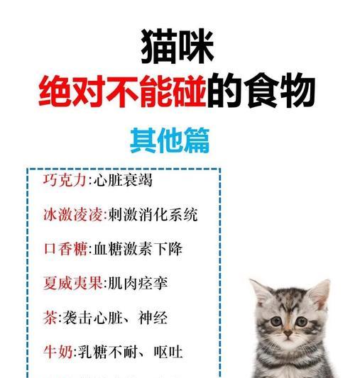 猫咪不吃变质猫粮会有什么后果？