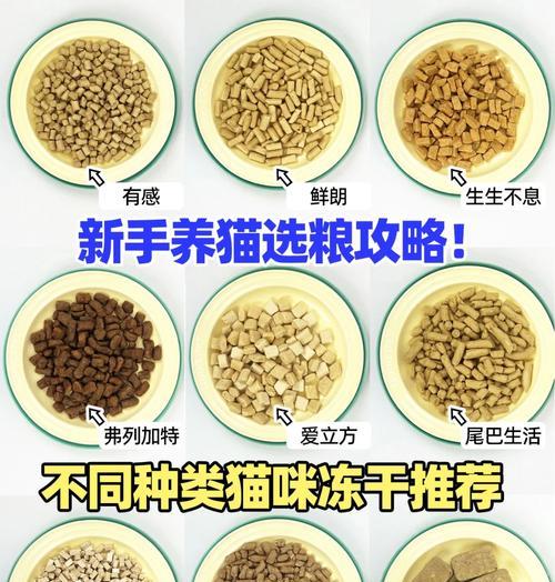 猫粮和冻干食品有何不同？各自的优缺点是什么？