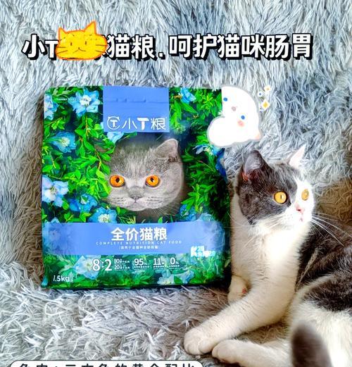 猫换粮拉屎少怎么办？需要吃什么药来缓解？