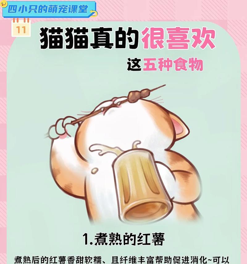 五个月小猫吃罐头不吃猫粮？原因和解决方法是什么？