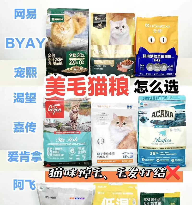 换猫粮导致掉毛增多应如何处理？