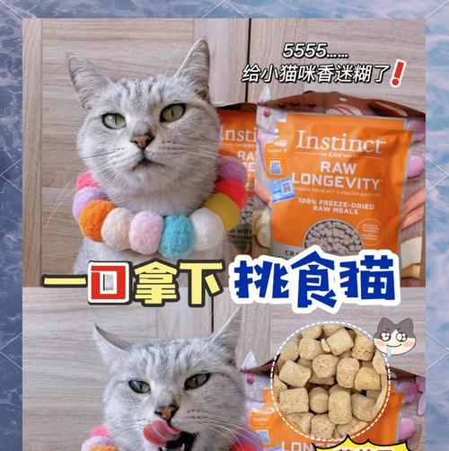 猫咪猫粮选择带冻干的好吗？