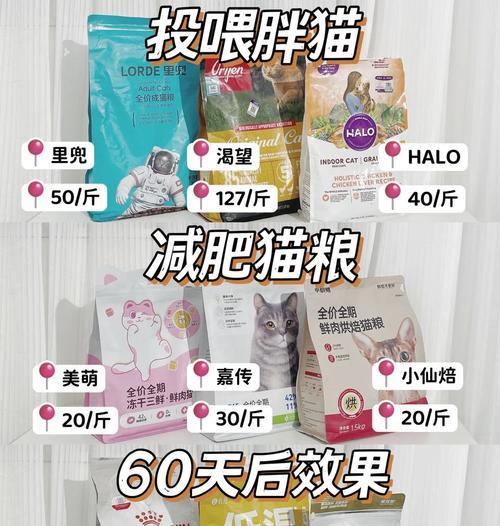 零元自制猫粮桶怎么用？猫吐猫粮越来越瘦了怎么回事？