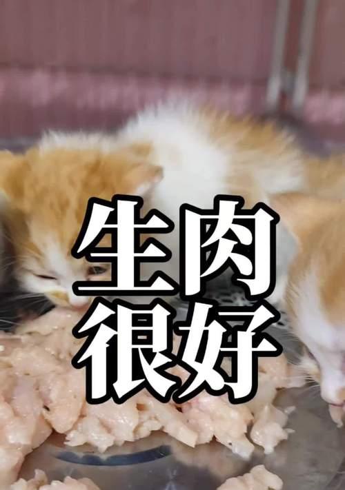 鸡胸肉怎么给猫吃放猫粮里？如何搭配更营养？