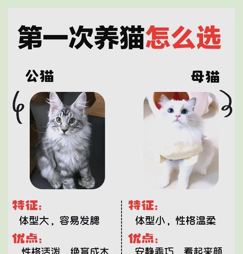 猫粮里看猫咪怎么看？如何通过猫粮判断猫咪的健康状况？