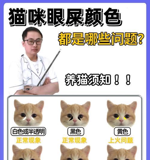 猫粮里看猫咪怎么看？如何通过猫粮判断猫咪的健康状况？