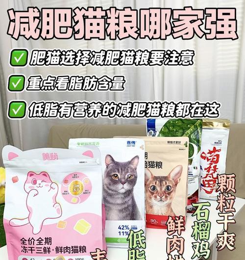 猫咪吃含谷物猫粮会发胖吗？原因是什么？
