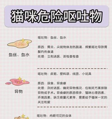 猫咪呕吐猫粮的原因是什么？如何预防这种情况发生？
