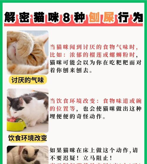 猫为何会将猫粮刨到地上？