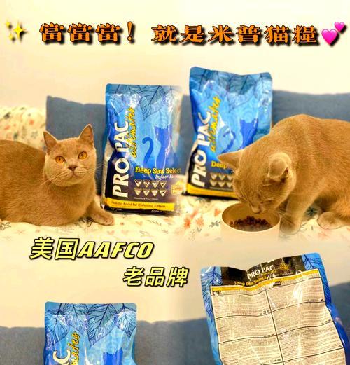 猫粮中添加什么猫咪最爱？如何让猫粮更吸引猫？