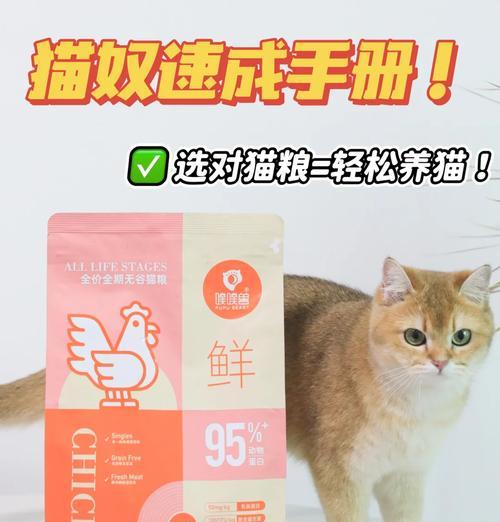 猫粮中添加什么猫咪最爱？如何让猫粮更吸引猫？