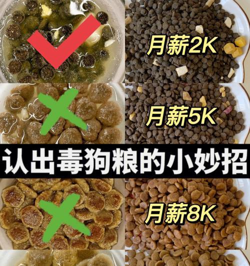 狗为何偏爱自制狗粮？自制狗粮有哪些好处？