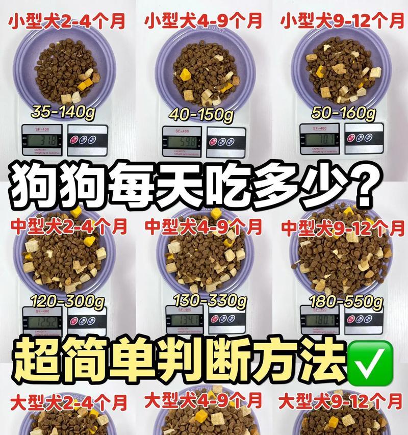 狗为何偏爱自制狗粮？自制狗粮有哪些好处？