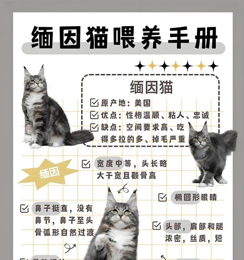 如何确定缅因猫的猫粮过敏源？